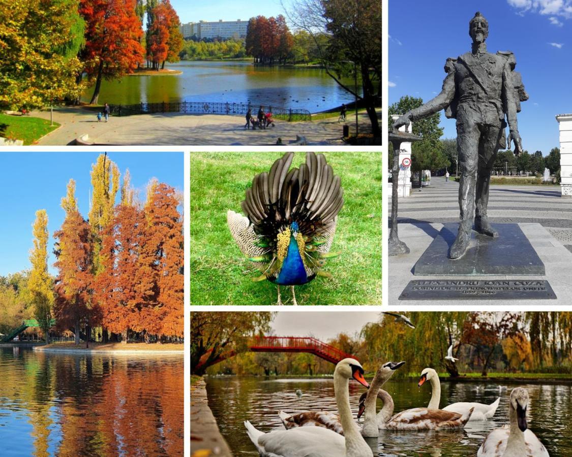 Inspiration Station - My Joyful, Cosy&Inviting Apt - Smart Thermostat - Private Parking - Ior Park - Long Term Price Cuts Бухарест Екстер'єр фото